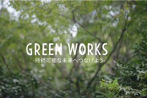 空から見た地方の送電線