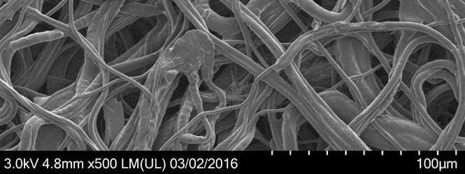 A scanning electron microscopy showing the nonwoven fiber

