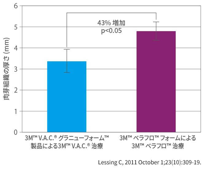 肉芽形成を促進

