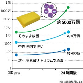 たわしの管理方法の違いによる細菌数の増殖数