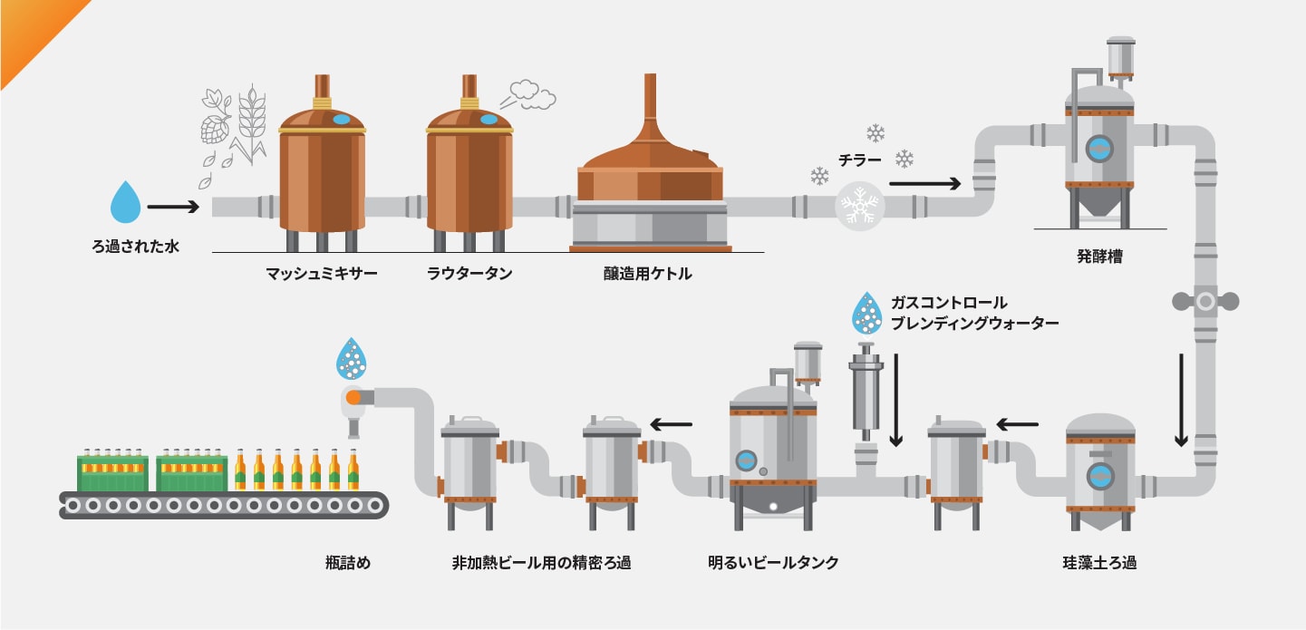 Infographic of beer brewing process
