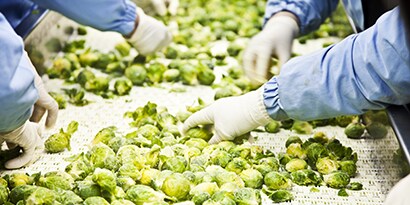 Commercial Kitchen Appliance Cleaning
