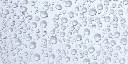 親水性フィルム
