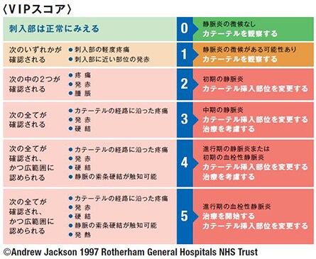 観察・評価・記録

