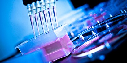 分析研究、開発
