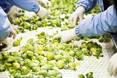 異物混入対策製品を検討したい
