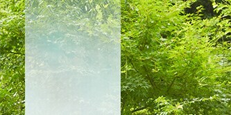 グラデーション・目隠し
