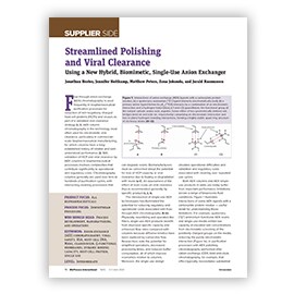 Cover of Streamlined Polishing and Viral Clearance Using a New Hybrid, Biomimetic, Single-Use Anion Exchanger