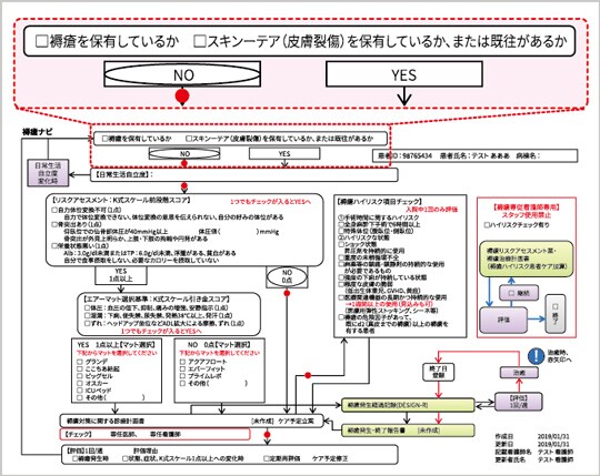 図２褥瘡発生報告書の例（冒頭にスキン-テアのチェック欄を追加した）

