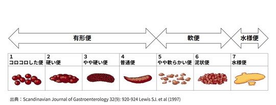 ブリストル便性状スケール
