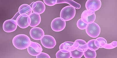 Bioburden Filtration Applications for Chemical API Manufacturing
