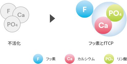 fTCPがもたらす効果