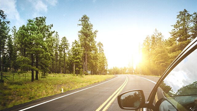 前方に太陽が輝く高速道路を走行する車