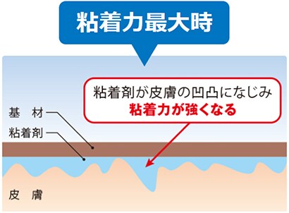 テープ粘着力最大時
