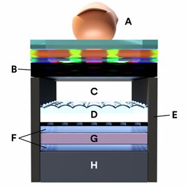 Visualization of a 3M™ Biometric Sensing System (BSS) for optical sensors