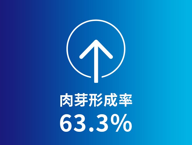 肉芽形成率↑ 63.3％
