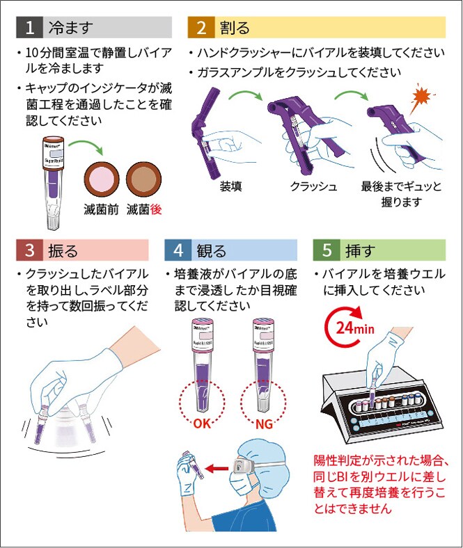 図1　BIの培養手順マニュアル
