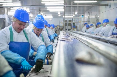 3Mの業務用たわしと異物混入対策製品
